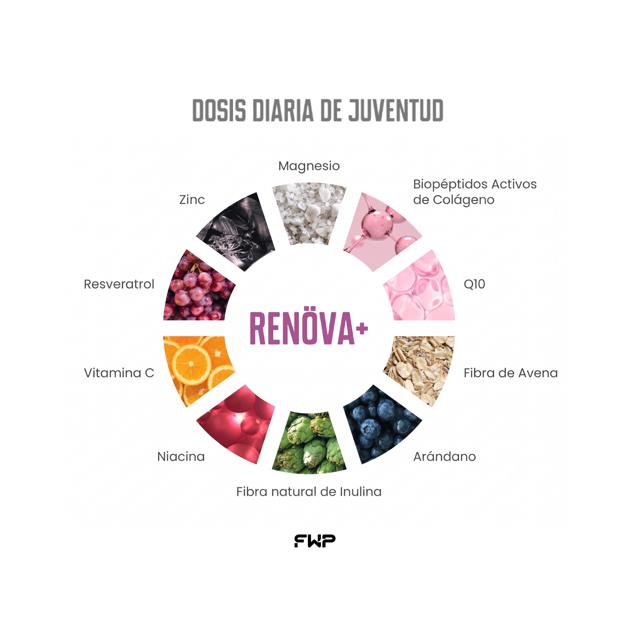 RENÖVA+ | Colágeno Hidrolizado & Complejo de Longevidad Celular