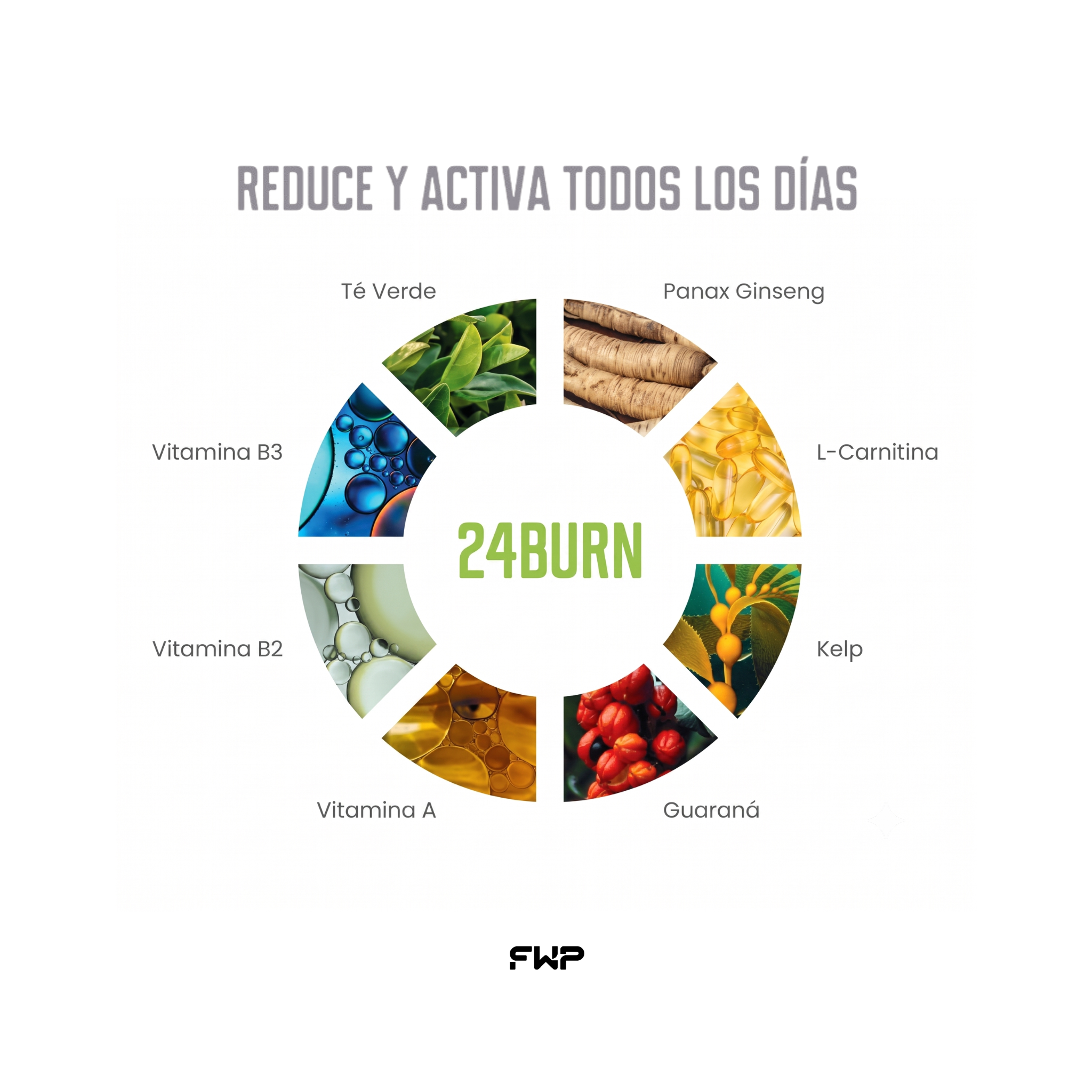 24BURN + RENÖVA+| Pack transformación ViveVital (Envío Gratis)